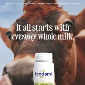 Kendamil Organic Ready to Feed Toddler Milk – Lốc 6 chai 200ml – ảnh 2
